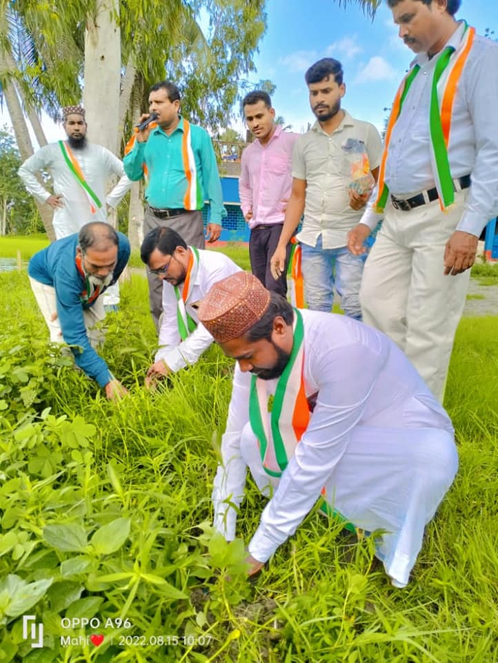 Tree Plantation